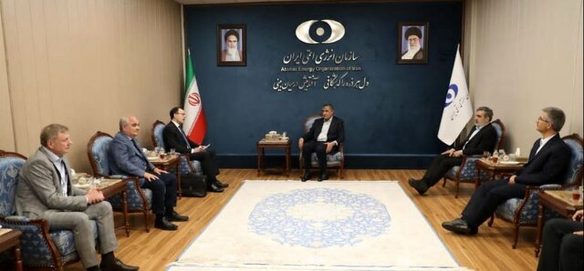 دیدار معاون شرکت روس‌اتم با رئیس سازمان انرژی اتمی