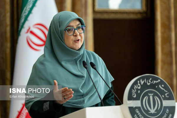 توضیح سخنگوی دولت درباره اقدامات کمیته حقیقت‌یاب حوادث دی‌ماه