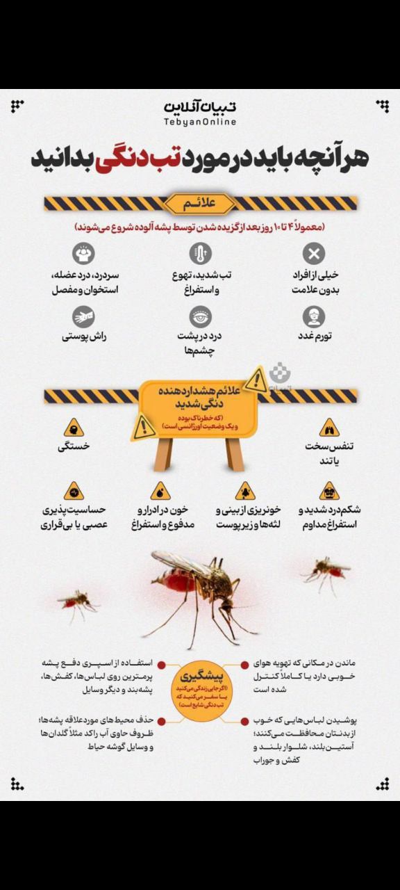 هر آنچه باید در مورد تب دنگی بدانید