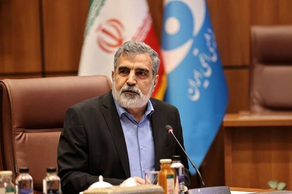 کمالوندی: بازرسی‌های اخیر با اجازه شورای‌عالی امنیت ملی بود