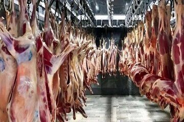 لیست قیمت گوشت قرمز امروز ۷ خرداد | گوشت چرخ کرده چقدر گران شد؟