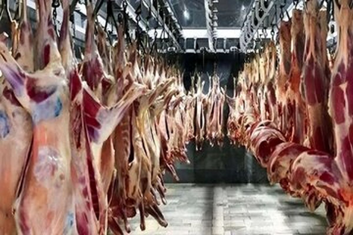 لیست قیمت گوشت قرمز امروز ۲۲ اردیبهشت ۱۴۰۵