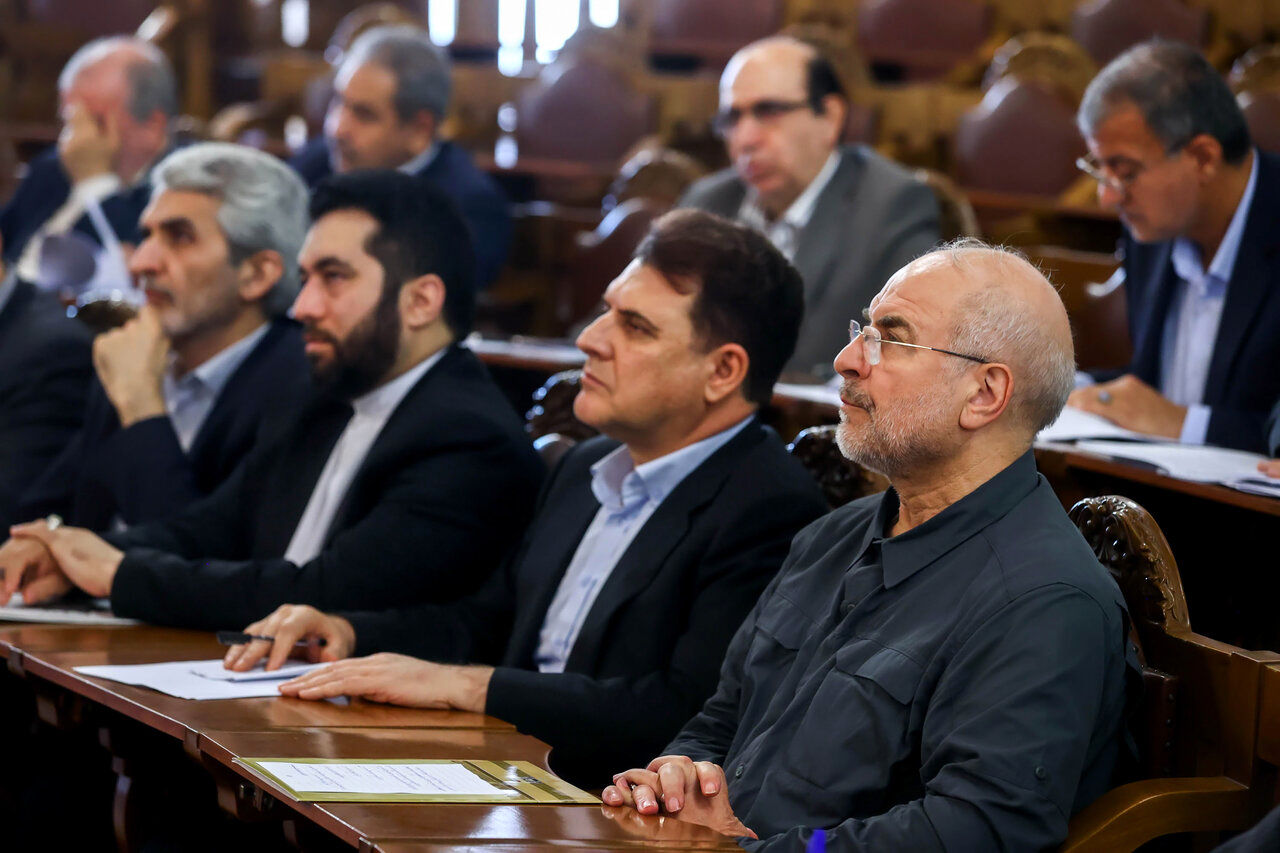 رئیس مجلس در همایش ناظران شوراها