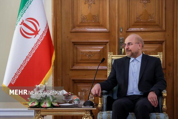 دیدار خانواده شهید کامیاب با رئیس مجلس