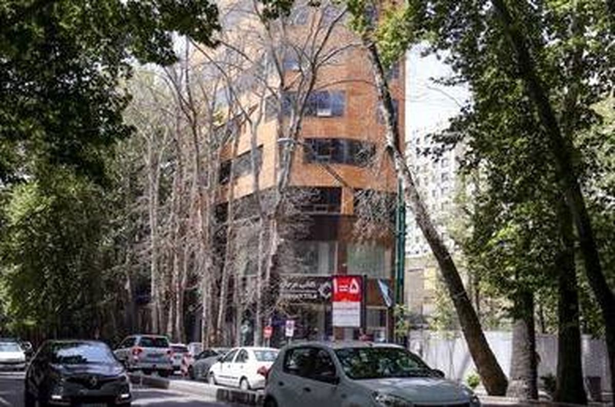 جریمه 3 میلیاردی برای خشک کردن درختان در نیاوران