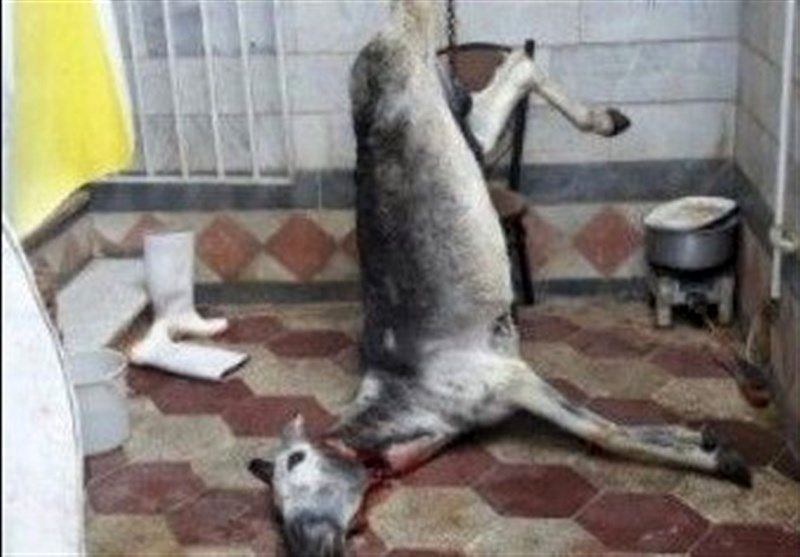 گوشت الاغ در برخی کبابیهای شهریار