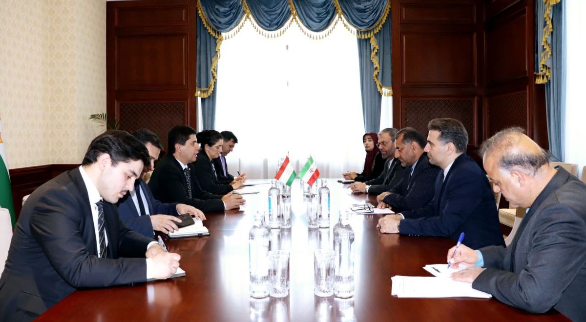 سفر نجفى به دوشنبه براى پیگیرى توافقات روسای جمهور ایران و تاجیکستان