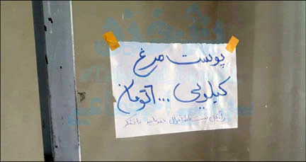 تکان دهنده اما واقعی,؛ پوست مرغ کیلویی 6 هزار +عکس