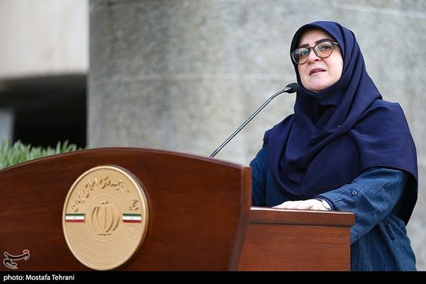 مهاجرانی: موضوع واردات برنج پاکستانی به شدت در حال پیگیری است