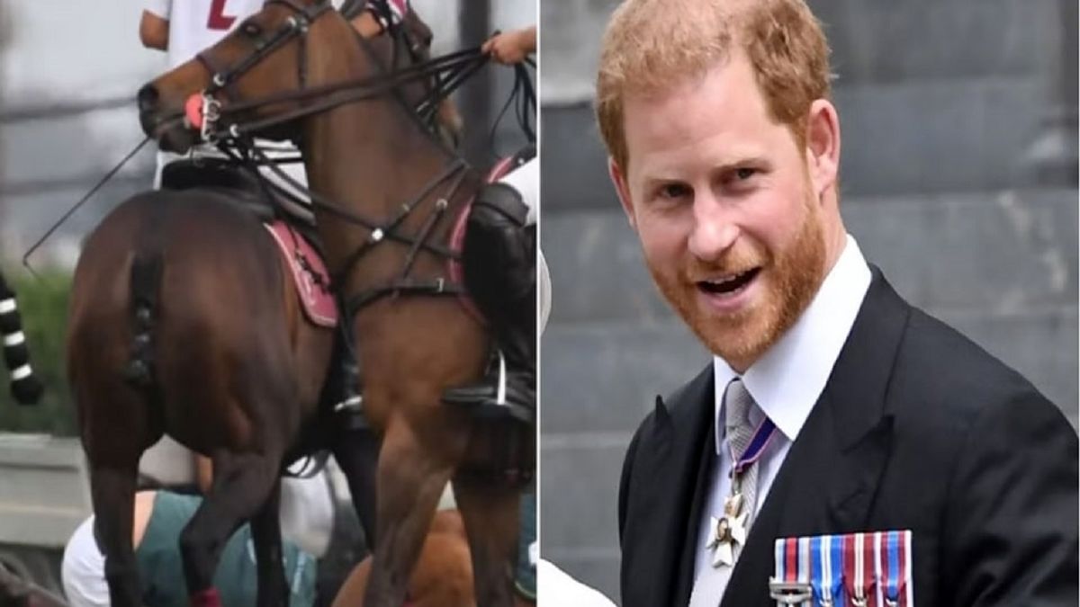 ورزش کاملا ایرانی پرنس انگلیسی +عکس