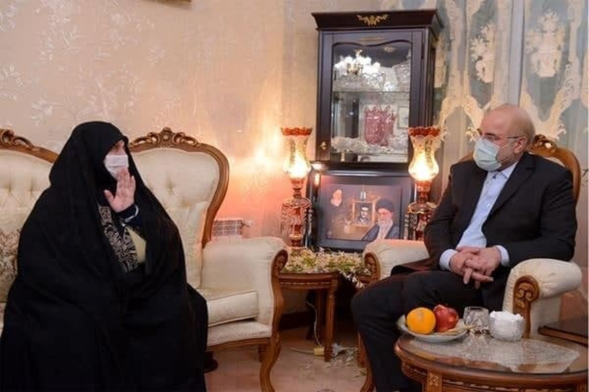 دیدار رئیس مجلس با خانواده شهید اسکندری +عکس