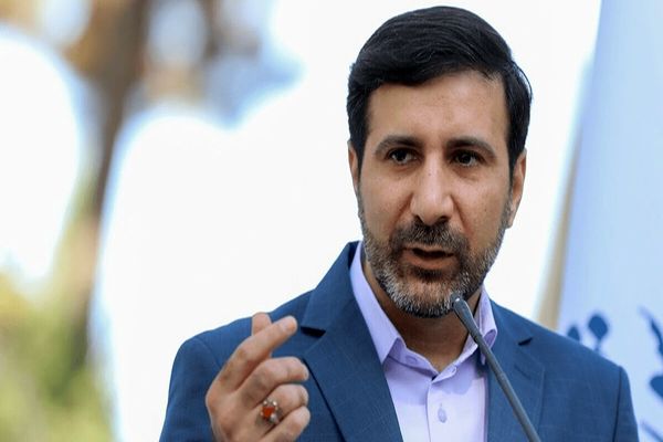 طحان‌نظیف: پزشکیان هیچ وقت توسط شورای نگهبان رد نشده بود