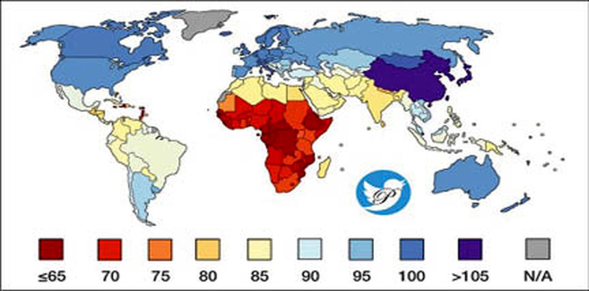 رتبه آی‌کیوی ایرانی ها در جهان چندم است؟