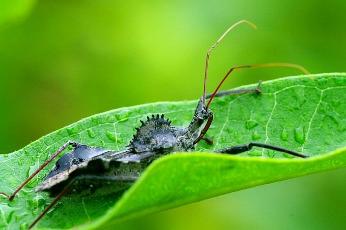 تصاویر/بدون شرح