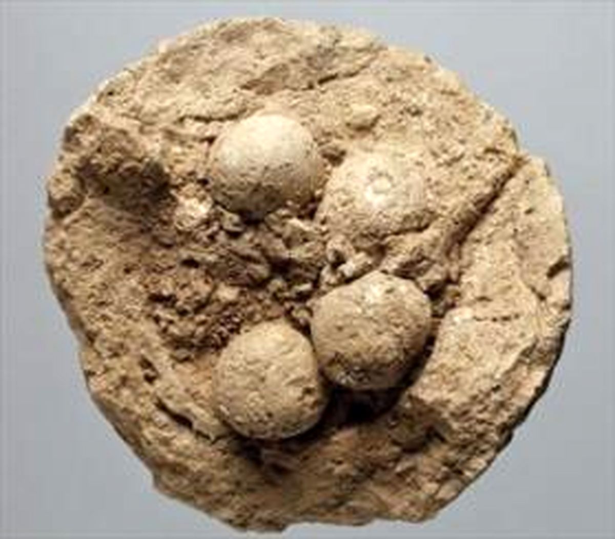 نخستینCDهای تاریخ چگونه بودند؟/عکس