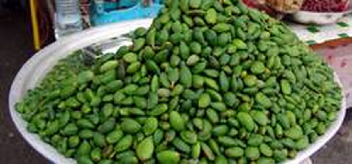 چغاله بادام ۲۰۰ هزارتومانی به بازار رسید!