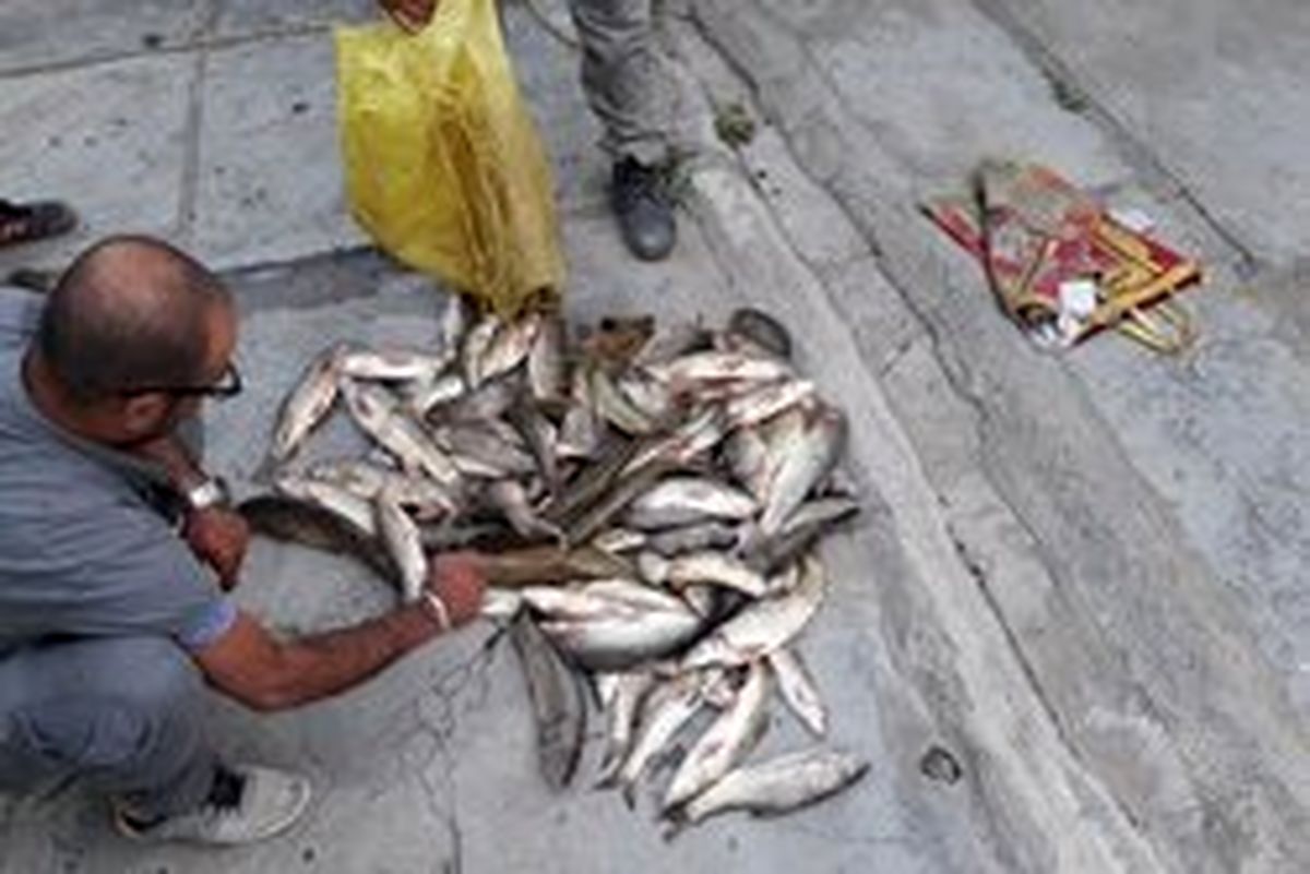 دستگیری ۴ گروه متخلف زیستمحیطی