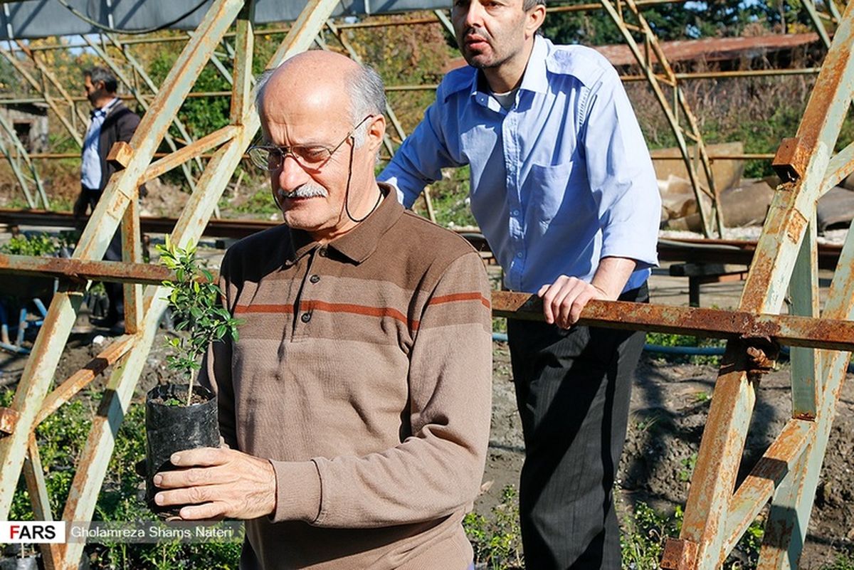 تصاویر: نجات شمشاد هیرکانی