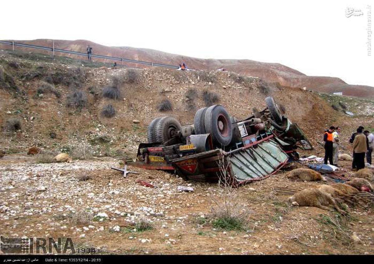 مرگ 20 گوسفند در واژگونی کامیون/عکس