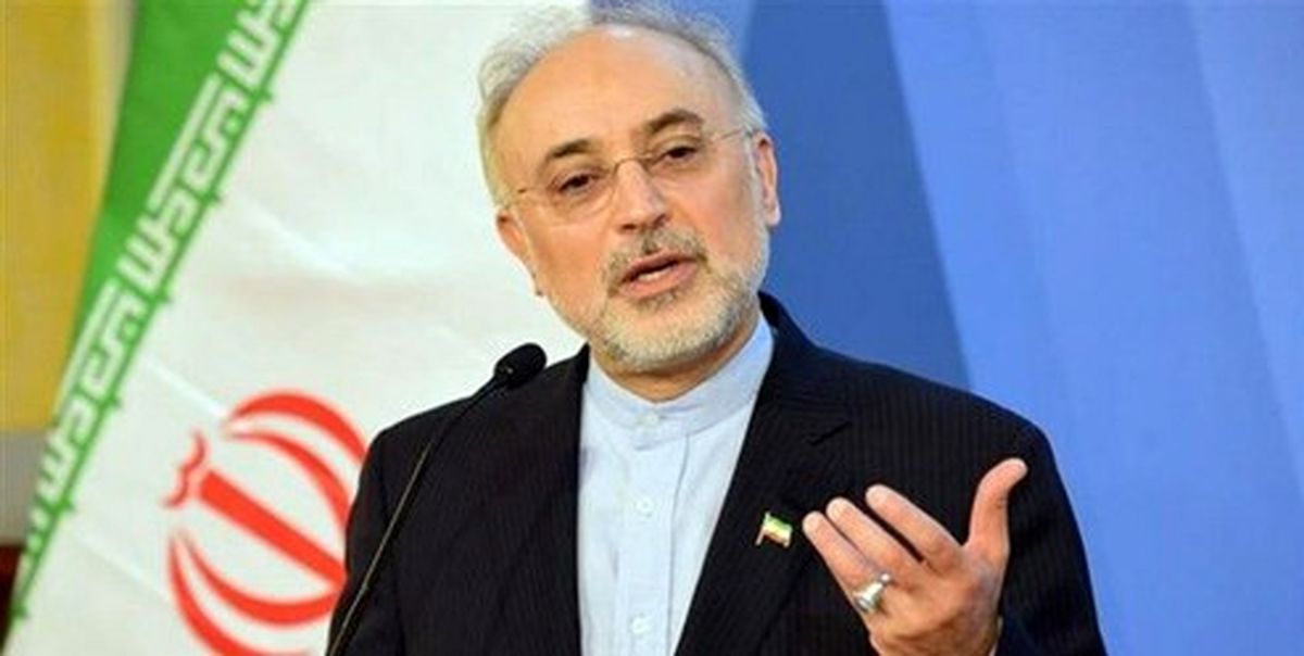 صالحی: خرابکاریها برای توقف صنعت هستهای ایران هیچگاه محقق نشد
