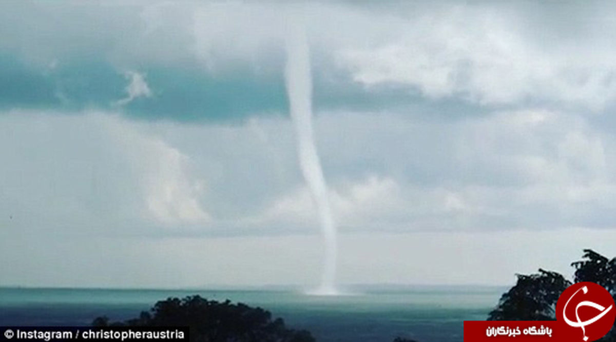 صحنه‌ای شگفت‌انگیز که تاکنون ندیده‌اید +تصاویر