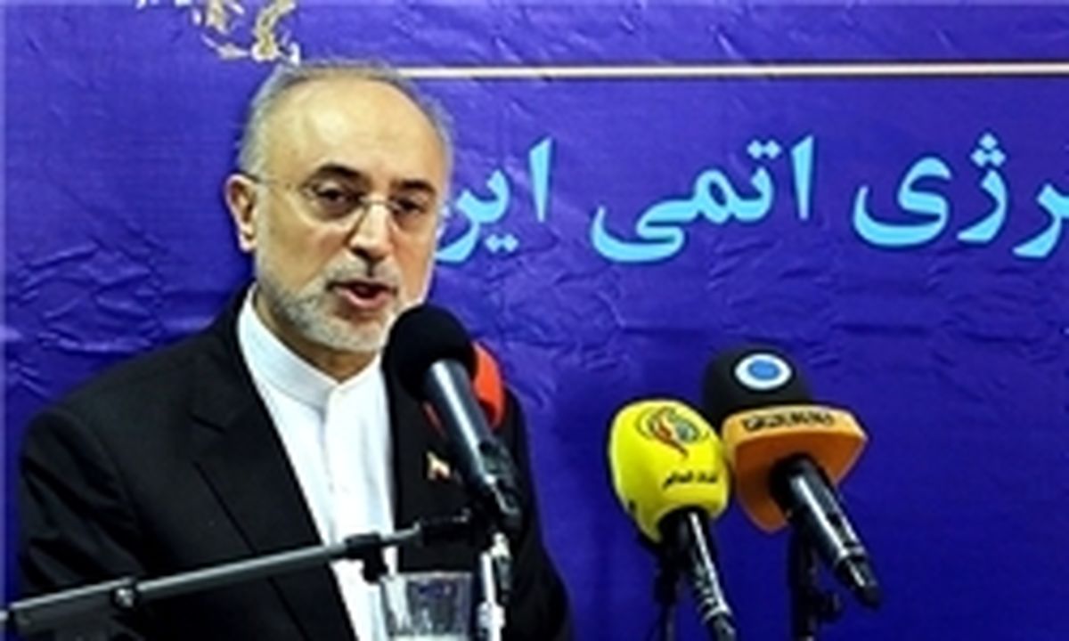 هشدار صالحی به برهم‌زنندگان برجام
