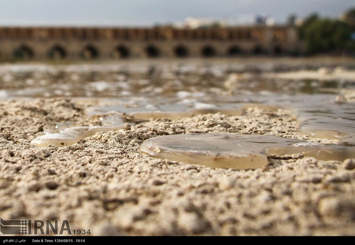 گزارش تصویری: جاری شدن دوباره آب در زاینده رود