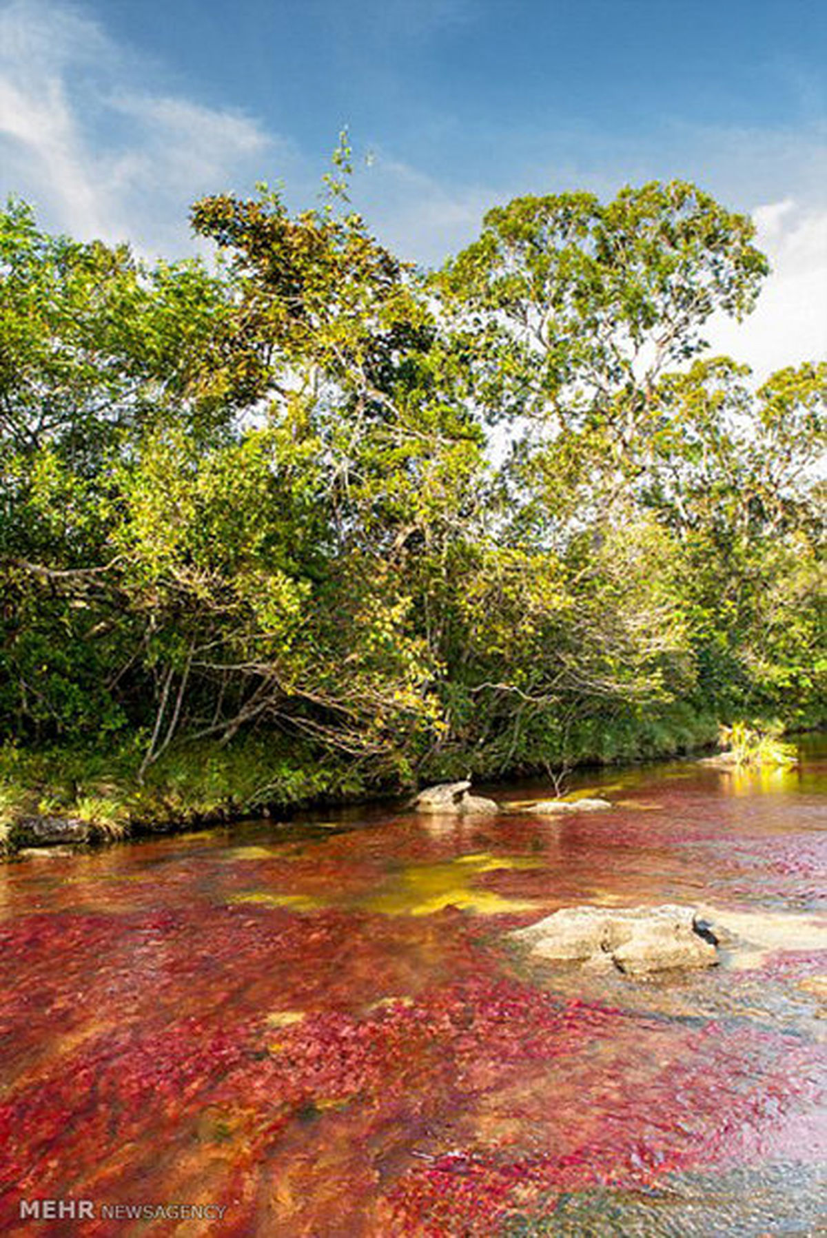 زیباترین رودخانه جهان/تصاویر