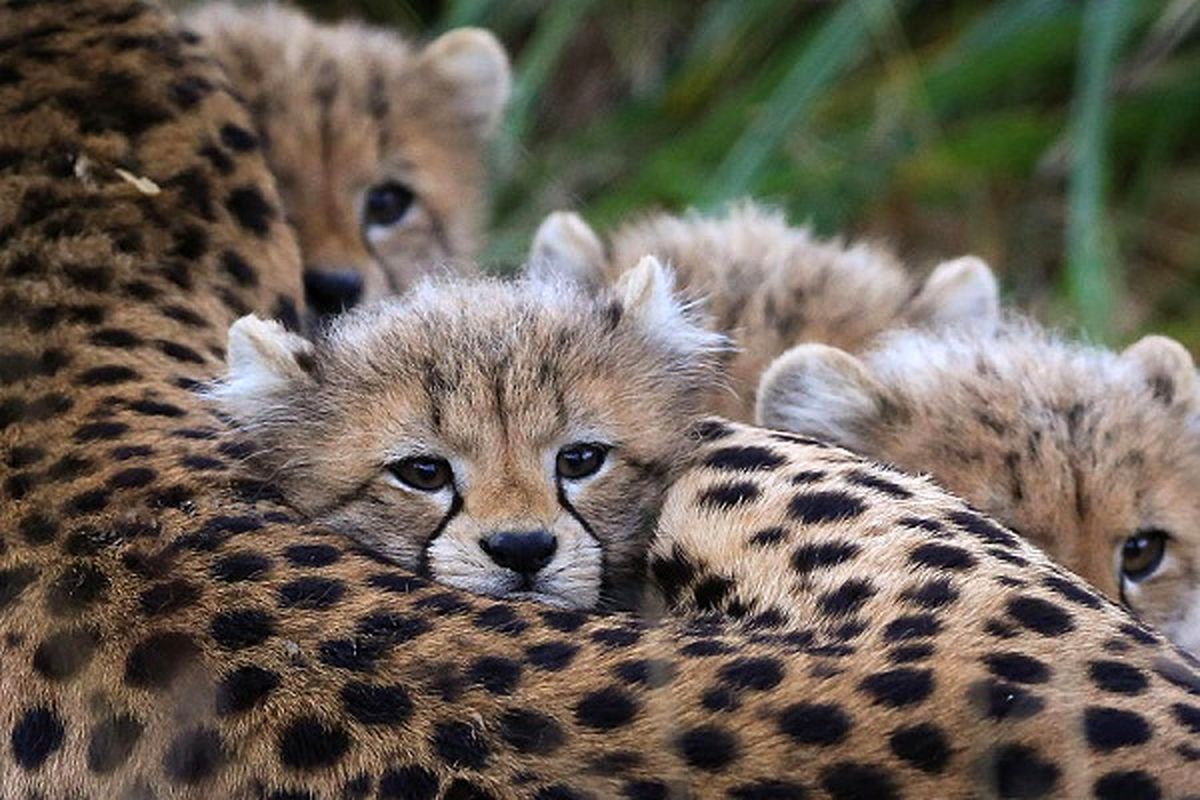 عکس/ بدون شرح