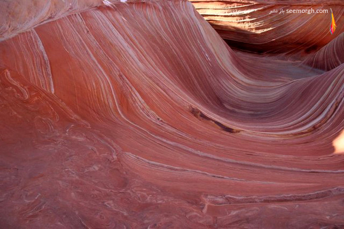 موج نوردی در صخره‌ها ! +عکس