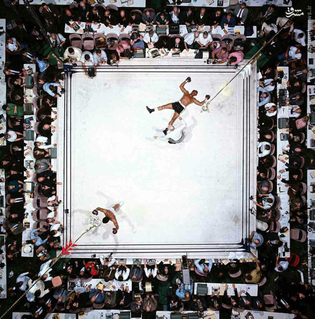 عکس: برترین عکس ورزشی تاریخ