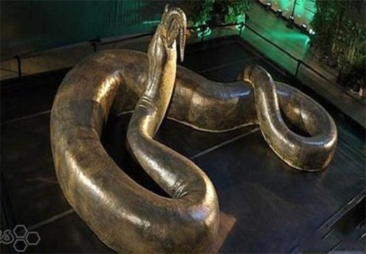 بزرگ‌ترین و مخوف‌ترین مار تاریخ/تصاویر