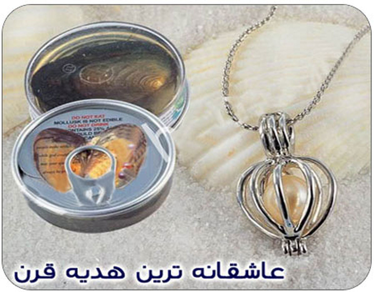 عاشقانه ترین هدیه قرن! + عکس