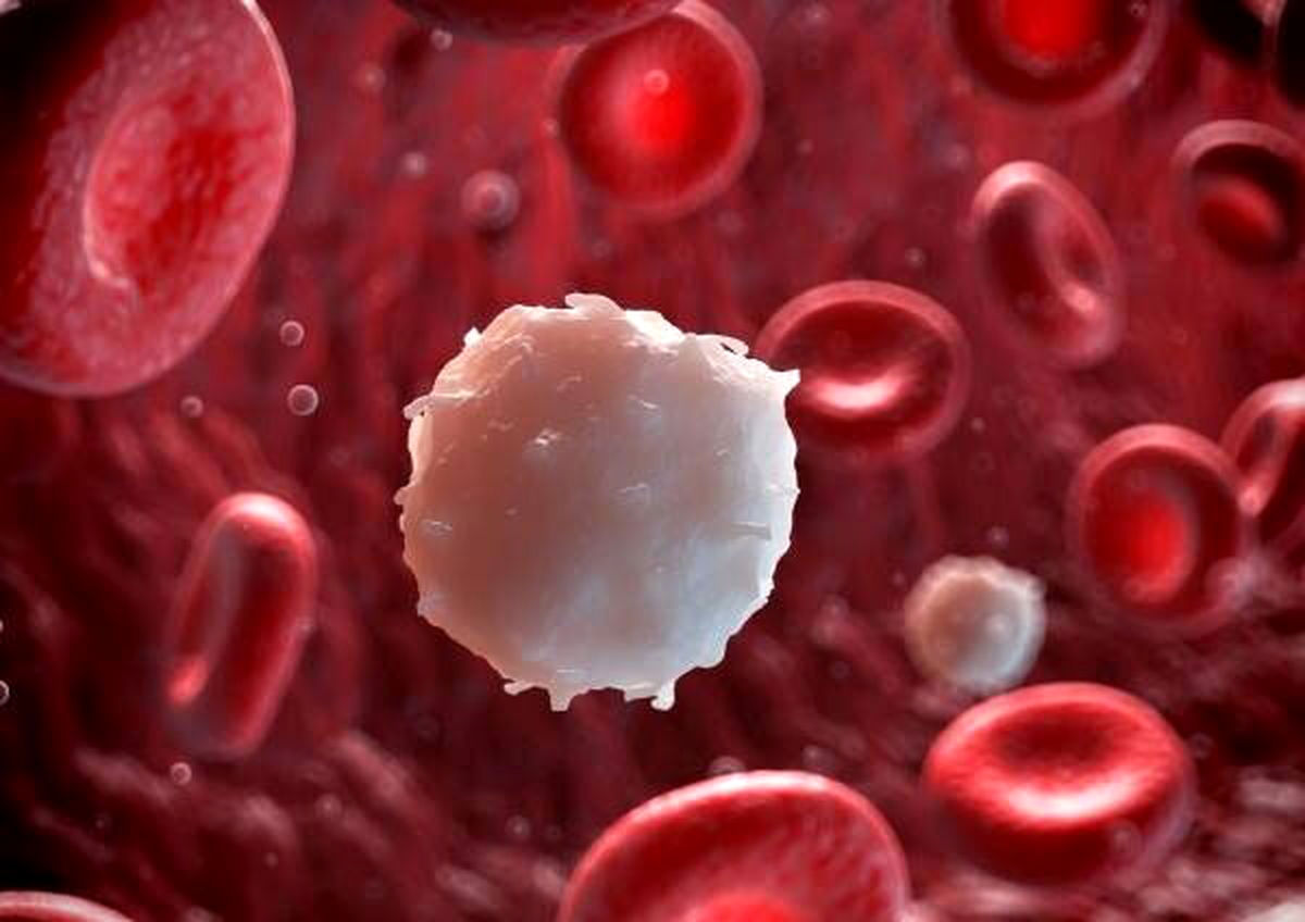 این میوه قاتل چربی خون است