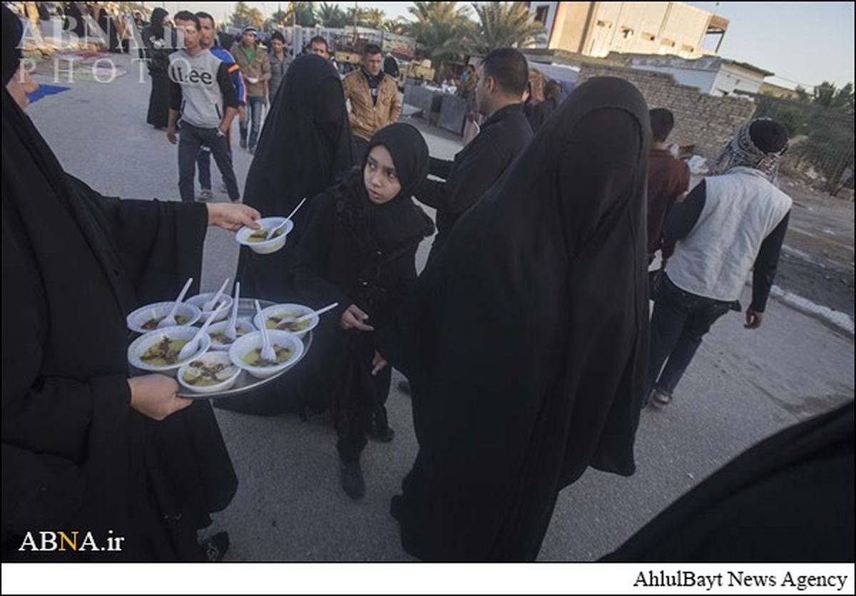 زائران حسینی در راه کربلا/تصاویر