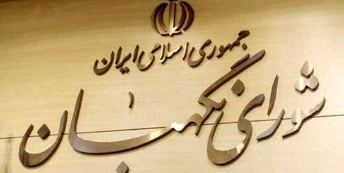 در جلسه شورای نگهبان با وزیر اقتصاد درباره بورس چه گذشت؟