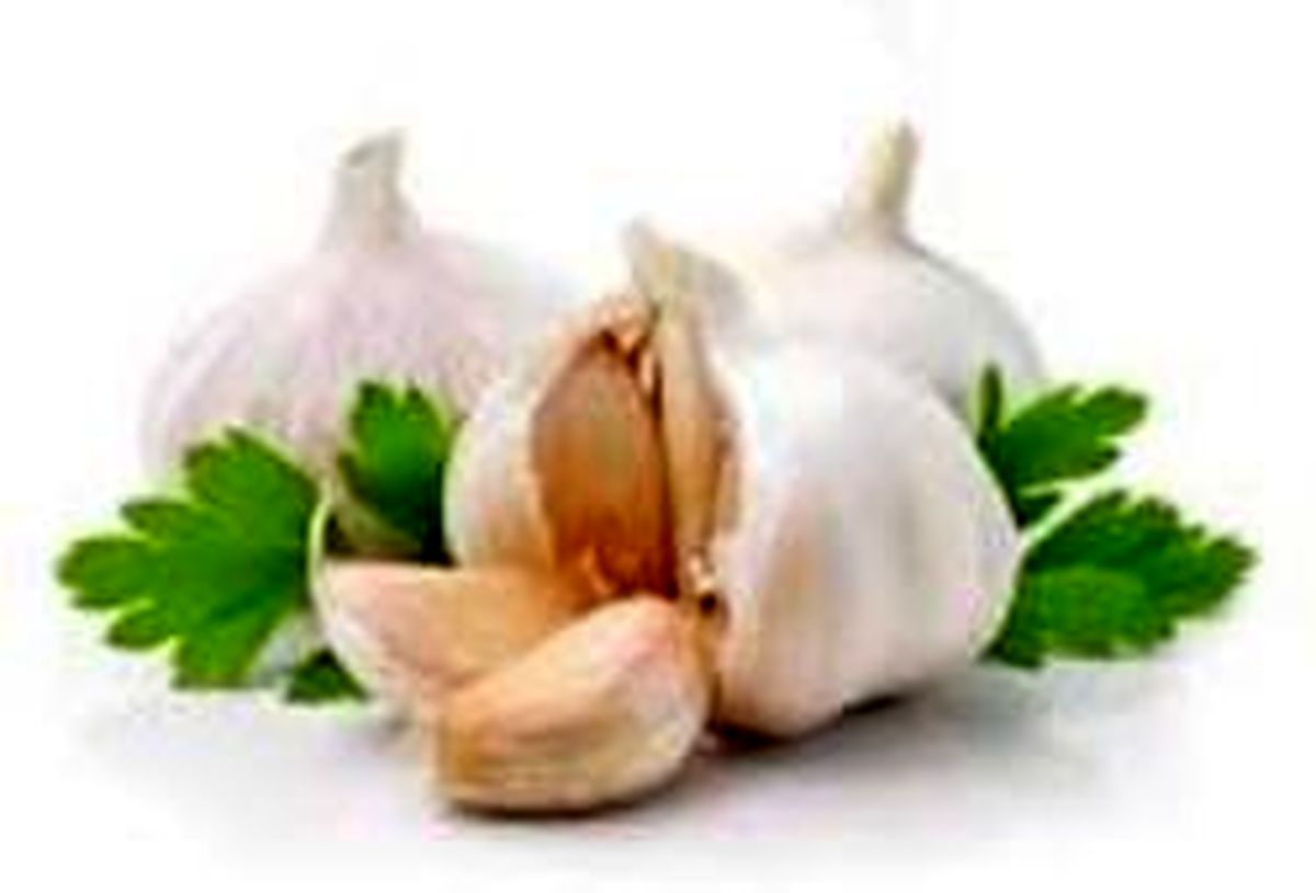 با داروخانه طبیعی بدن آشنا شوید