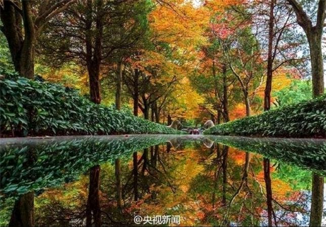 مجسمه‌های سنگی ۳۰۰ میلیون ساله در چین +عکس