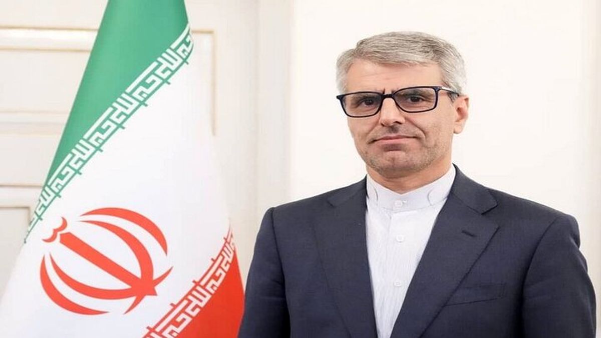 بقائی: باید گریبان طرف مقابل را برای اجرای تعهدات بگیریم /پیشرفت های خوبی صورت گرفت