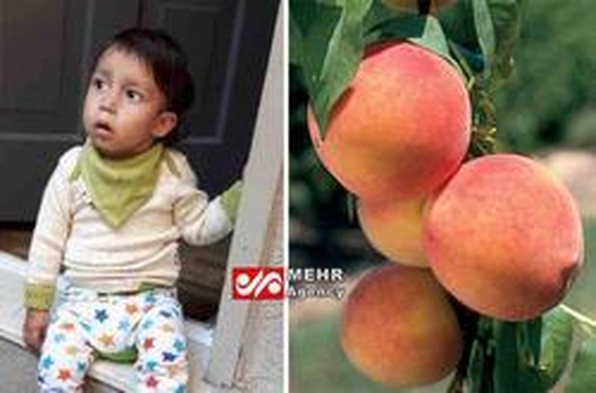 پسری که فقط «هلو» میخورد! +عکس