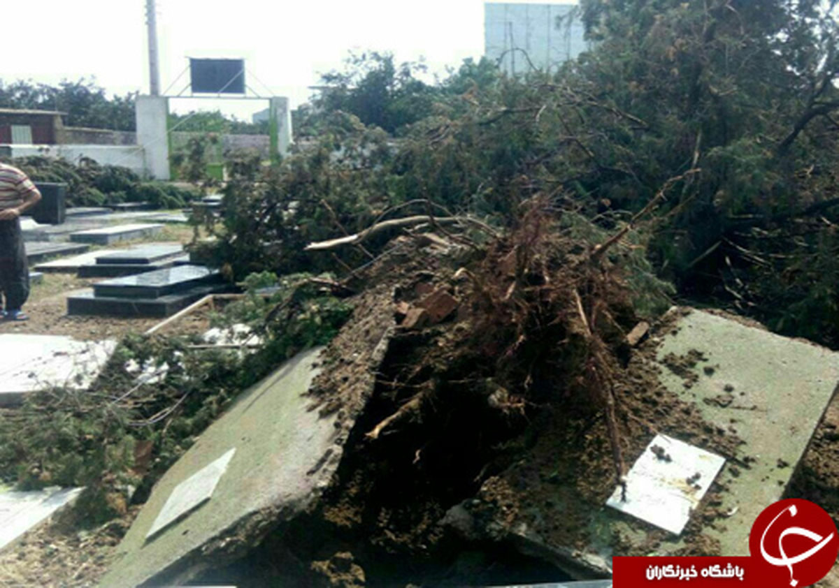 نبش قبر به علت وقوع طوفان +عکس