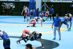 اعضای کادر فنی تیم ملی کشتی آزاد مشخص شدند