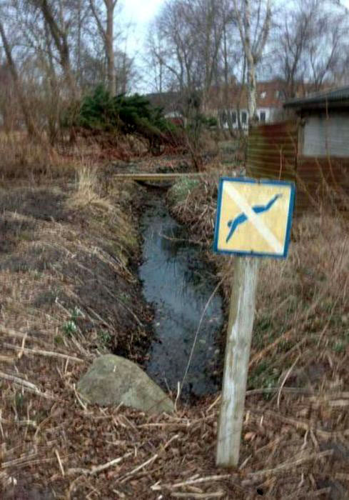 شنا کردن ممنوع /عکس