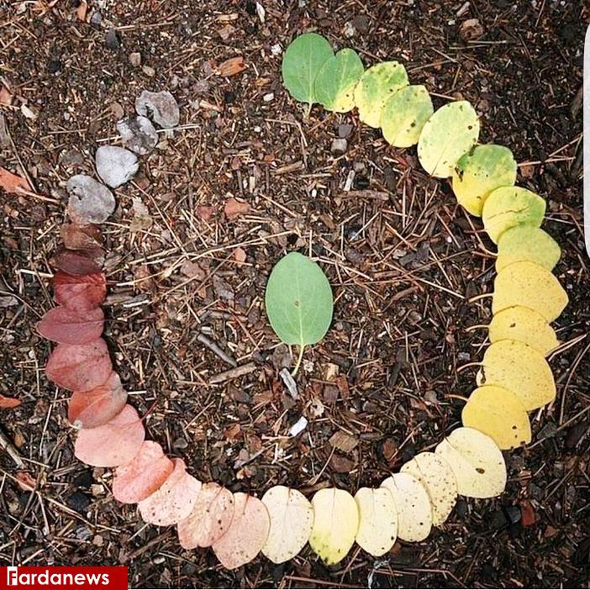 عکسی زیبا و خلاقانه از چرخه زندگی