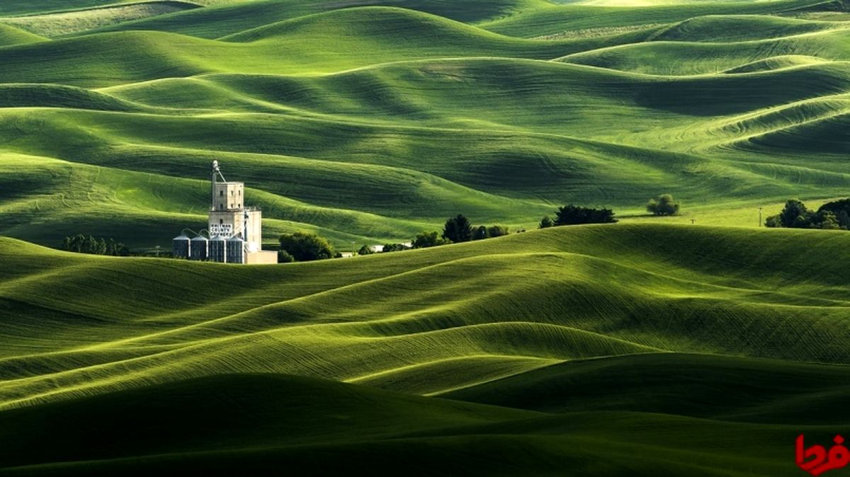 تصاویر برگزیده نشنال جئوگرافیک در سال ۲۰۱۶