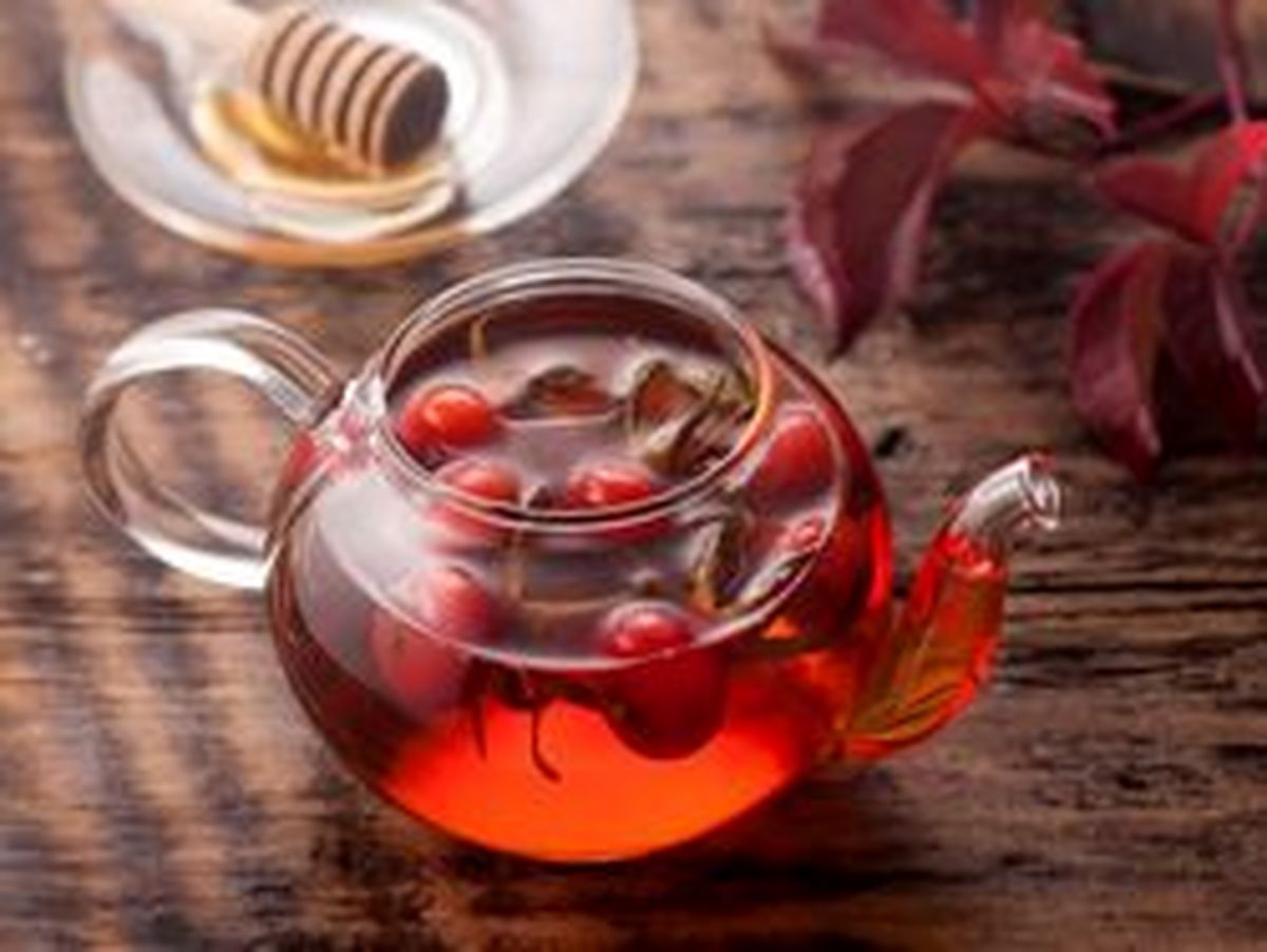 ۷ فایده و خواص چای میوه رز/ نوشیدنی مناسب برای پیشگیری از سرطان، بیماری‌های قلبی و حفاظت از پوست