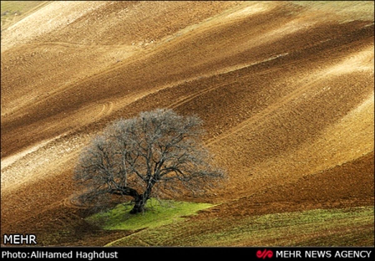 پائیز زیبای کلیبر
