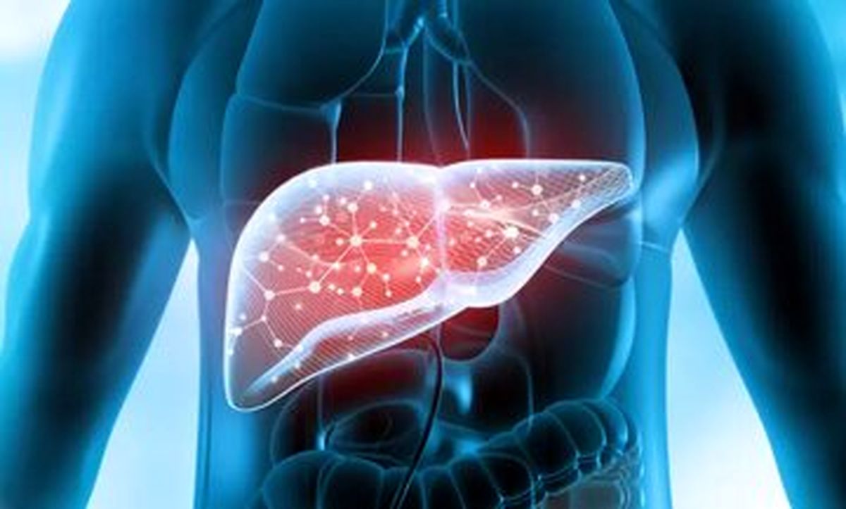 گیاهی که از کبد محافظت می‌کند