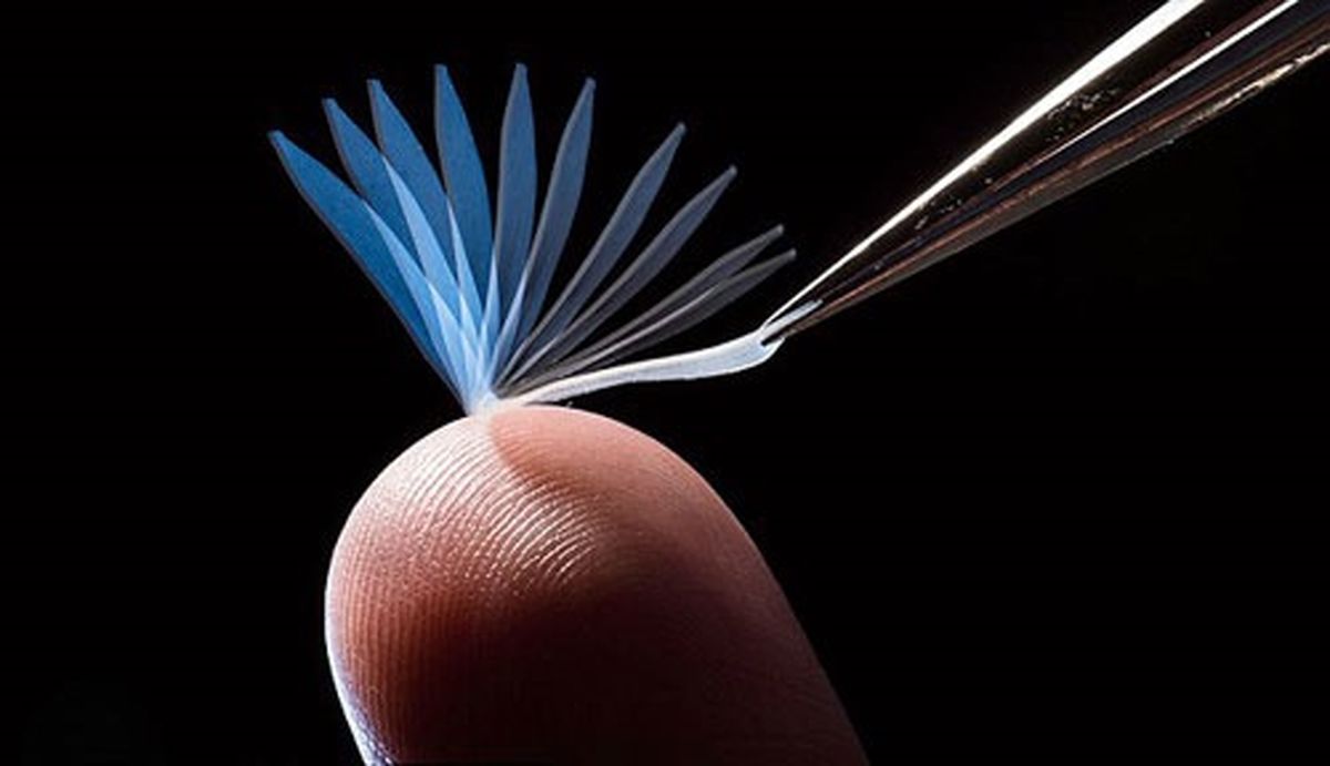 پلاستیک هوشمندی که هزار برابر وزن خود را تحمل می‌کند