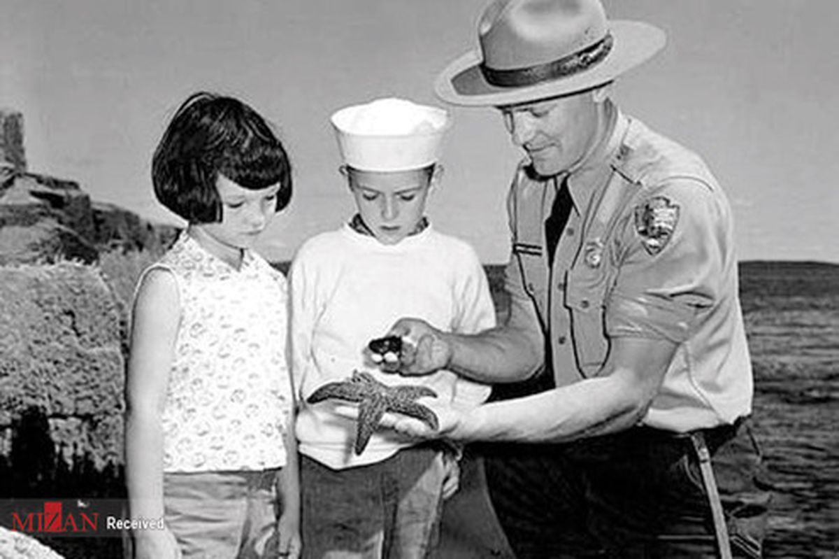 تصاویر: صف کشیدن با ماشین برای رفتن به پارک